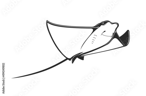 Manta ray or stingray fish, sea animal and ocean creature, isolated vector. Coral reef aquatic animal stingray manta or devil ray, underwater and oceanarium zoo fauna