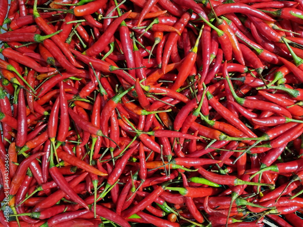Full Frame Shot Portrait of the fresh red chilli in Thai market wallpaper paettern background. Full Frame Shot Portrait of the fresh red chilli in Thai market wallpaper paettern background.