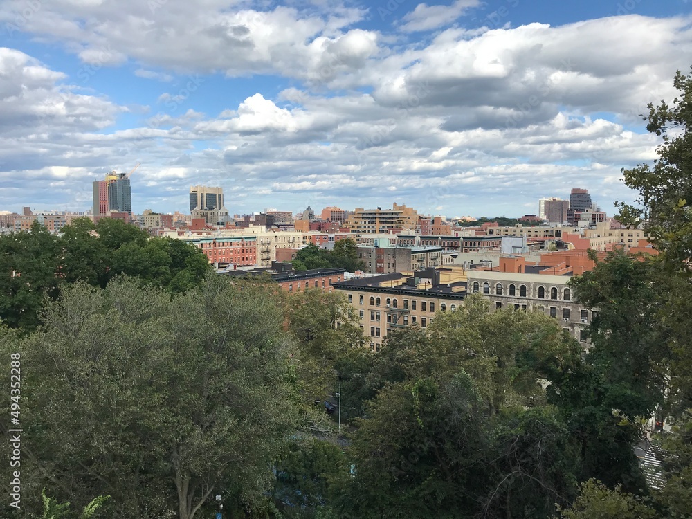 Manhattan treetop view