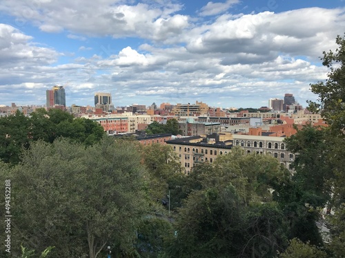Manhattan treetop view