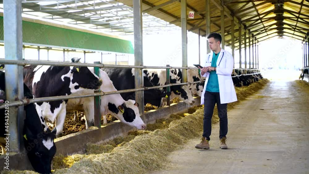 Side view of young male agricultural engineer or vet in white coat ...