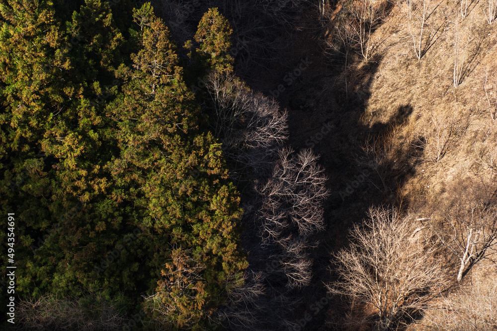 吊り橋から下の山あい・谷間を眺める Stock Photo Adobe Stock