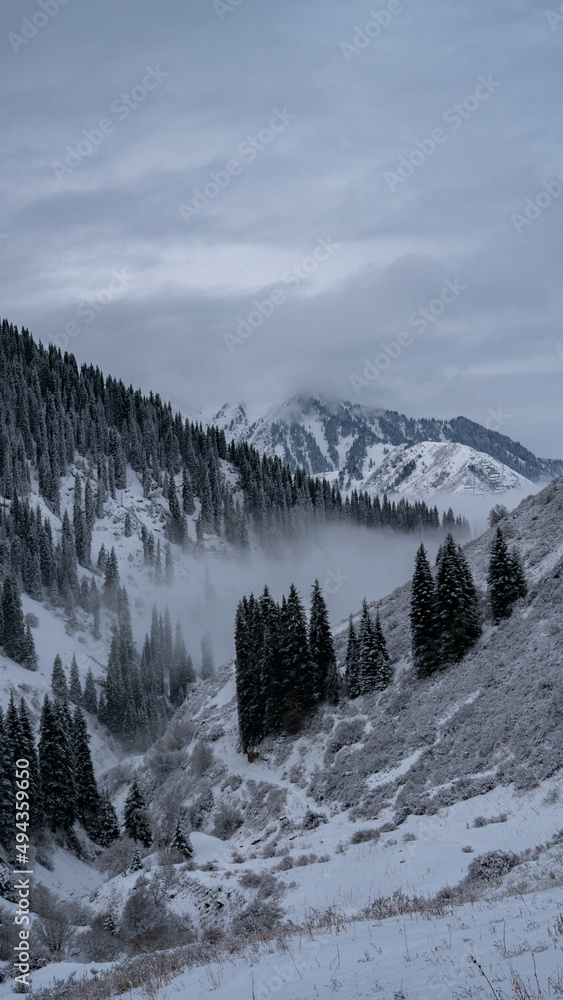 Fototapeta premium Snow-white mountains in the fog