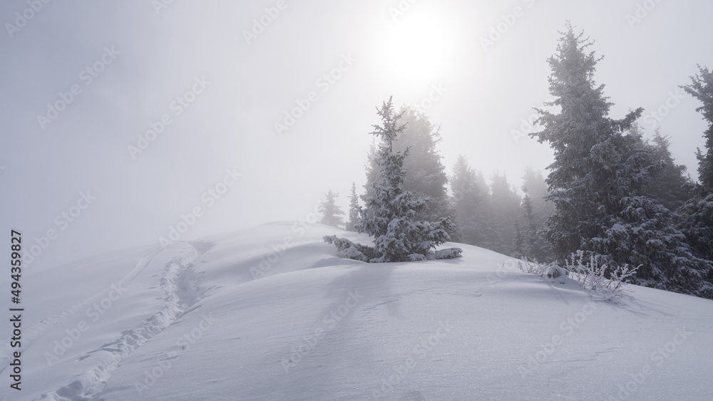 Deep snow trail in misty mountains