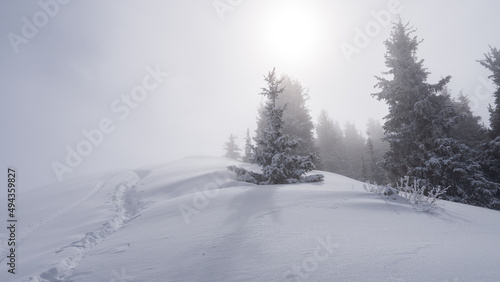 Deep snow trail in misty mountains © Daniil_98_03_09