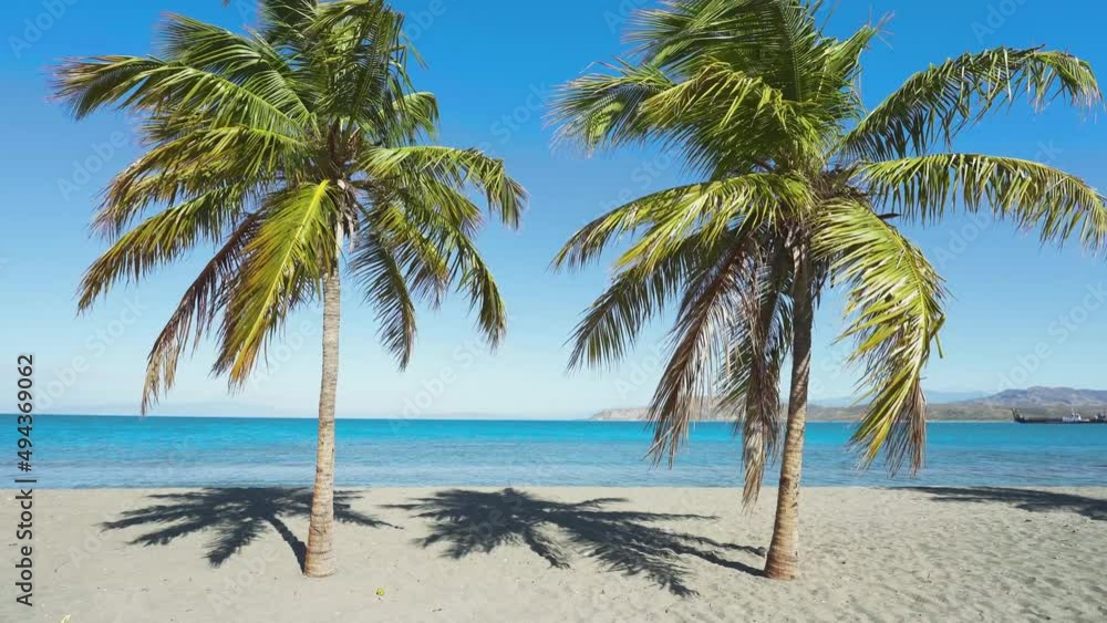 Sandy palm beach on a tropical sunny coast. Turquoise sea waves and green palm trees against the blue sky. Vacation on a sunny summer beach. Journey to a tropical paradise. Sandy palm beach on a tropical sunny coast. Turquoise sea waves and green palm trees against the blue sky. Vacation on a sunny summer beach. Journey to a tropical paradise.