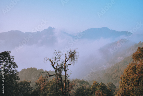 misty morning in the mountains