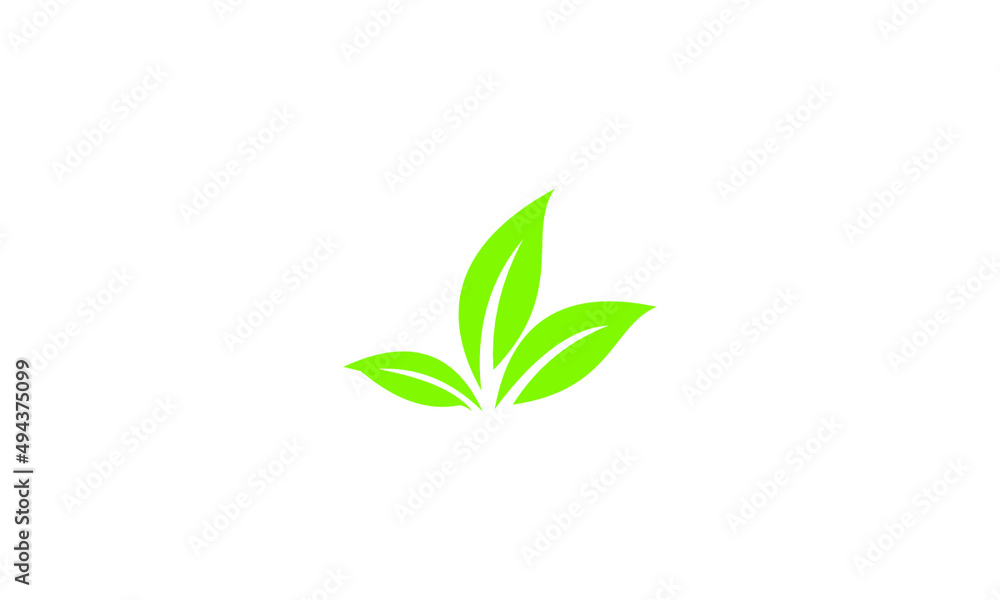 green plant isolated