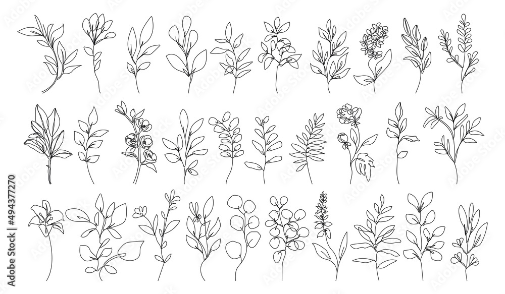 Line Drawing Flowers and Leaves Set Black Sketch Isolaned on White Background. Botanical Line Art of Wildflower Floral Drawing for Minimalist Wall Decor, Wall Art, Prints, Invitations. Vector EPS 10