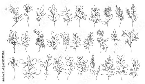 Line Drawing Flowers and Leaves Set Black Sketch Isolaned on White Background. Botanical Line Art of Wildflower Floral Drawing for Minimalist Wall Decor, Wall Art, Prints, Invitations. Vector EPS 10 © Наталья Дьячкова