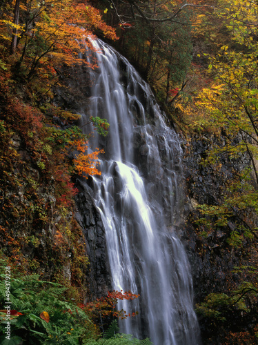 waterfall in autumn © 善征 野村