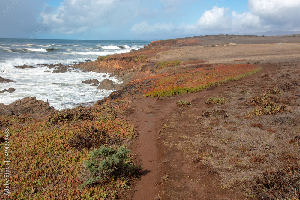 Twisting Bluff Trail at Fiscalini Ranch Preserve on the Rugged Central California coastline at Cambria California United States Twisting Bluff Trail at Fiscalini Ranch Preserve on the Rugged Central California coastline at Cambria California United States