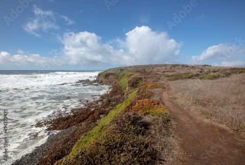 Looking north on Bluff Trail at Fiscalini Ranch Preserve on the Rugged Central California coastline at Cambria California United States