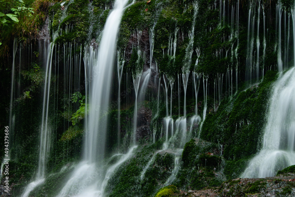 waterfall in the forest