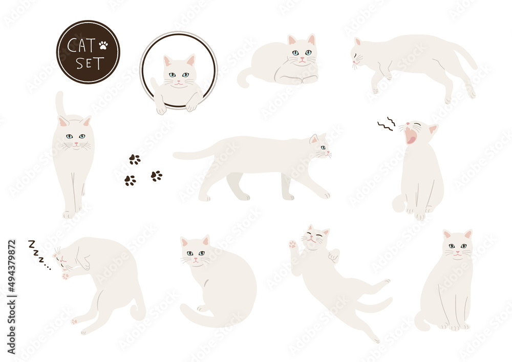 確認画像　白い猫　　入札❌️ Photography Poster 白猫のイラストセット | Wall Art | Abposters.com