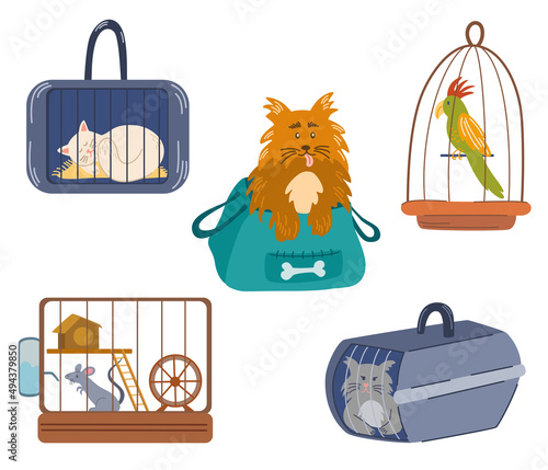 Pets sitting in a travel bag. Animals in a bag and pet cage, carriage of dogs, cats, red and parrot. Transportation of animals. Vector cartoon illustration
