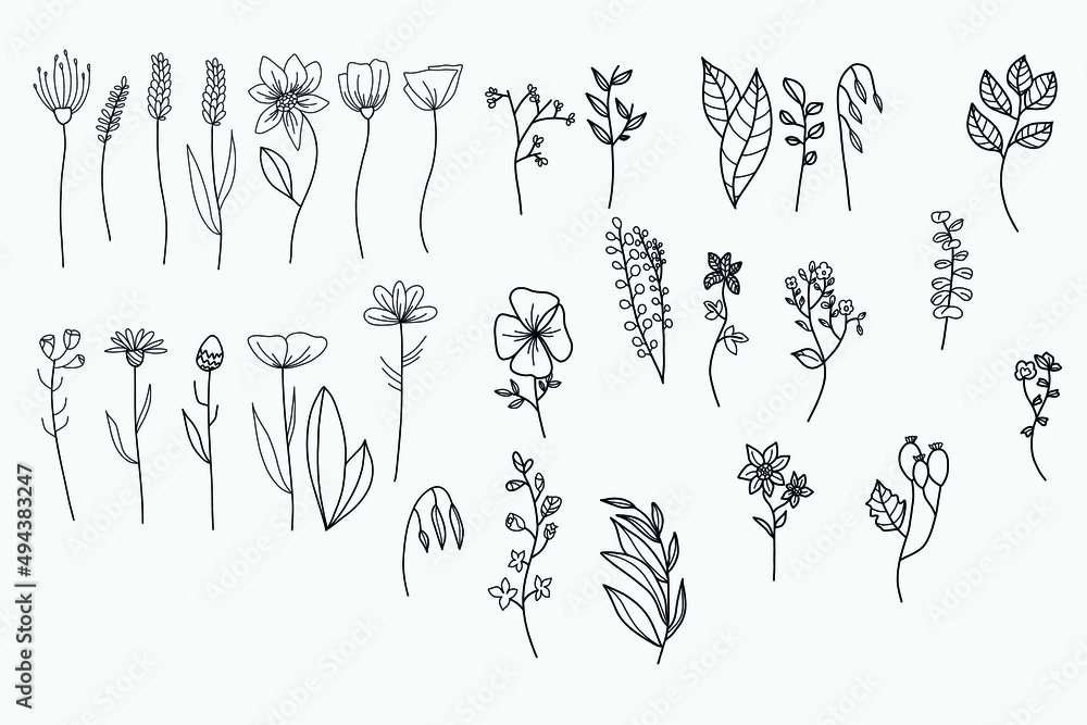 Botanical vector set, line art flowers on white background, minimalism floral collection Botanical vector set, line art flowers on white background, minimalism floral collection
