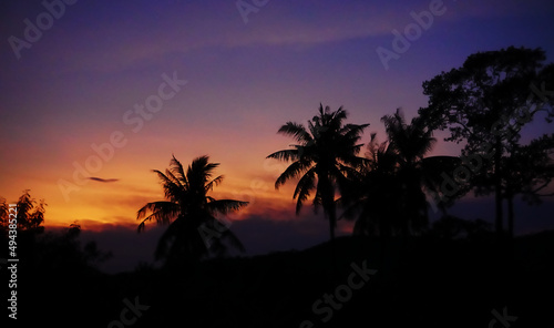 Twilight sky with tree silhouette background