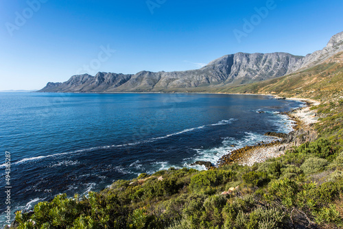 Scenic ocean shoreline of a small bay surrounded with mountains and Cape Fynbos plants with a blue sky  © MWolf Images