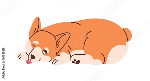 Cute Welsh corgi lying. Funny adorable dog. Alluring amusing puppy. Lovely cunning doggy resting and looking up, peeping. Colored flat vector illustration isolated on white background