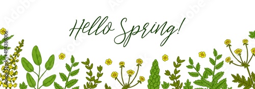 Hello Spring banner with green floral elements. Hand drawn vector illustration
