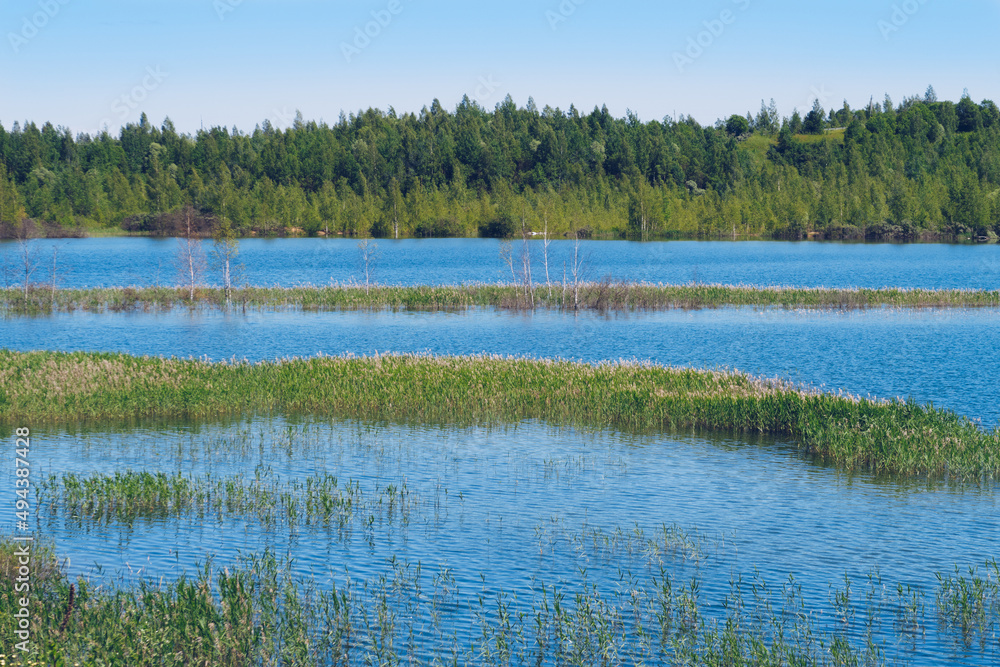 Summer landscape of the overgrown lake. Flooded sand quarry near Sychevo. Lush green summer lake view
