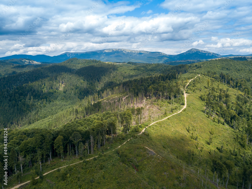 Green mountains of Ukrainian Carpathians in summer. Coniferous trees on the slopes. Aerial drone view.