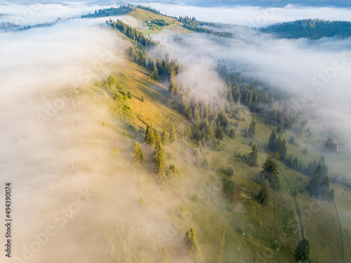 Fog envelops the mountain forest. The rays of the rising sun break through the fog. Aerial drone view. © Sergey