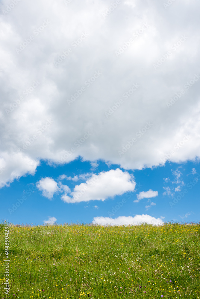 green meadow with flowers, blue sky and grey clouds with copy space