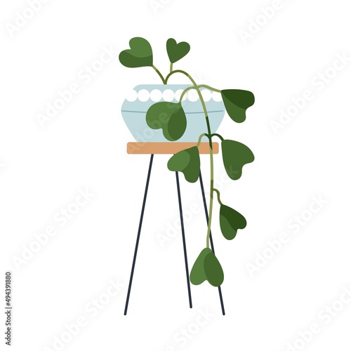 Hoya kerrii, potted indoor plant with heart-shaped leaf hanging down. Green home vegetation in flowerpot on stand. Leafy house decor in planter. Flat vector illustration isolated on white background