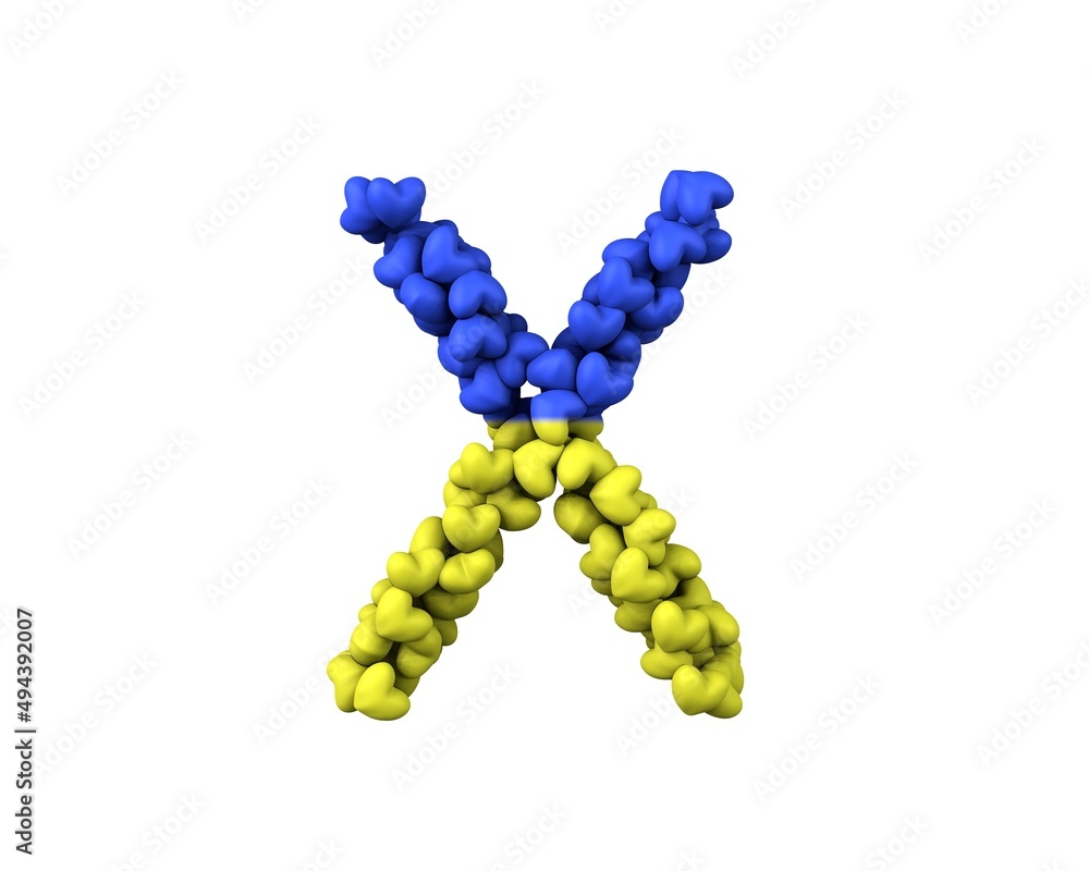 Ukraine Hearts Font Letter X Ukraine Hearts Font Letter X