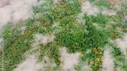Wallpaper Mural Lower Clouds Moving Above Autumn Pine Forest. Aerial View 4K Flight Above Amazing Misty Forest Landscape. Scenic View Of Autumn Foggy Morning In Misty Forest Park Woods. Nature Elevated View. Torontodigital.ca