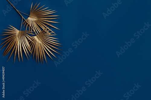 golden palm leaf on a blue background stylish background for any design