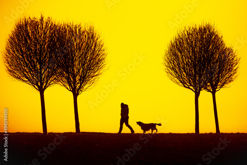 black silhouette on colorful background of setting sun figure and dog walking together