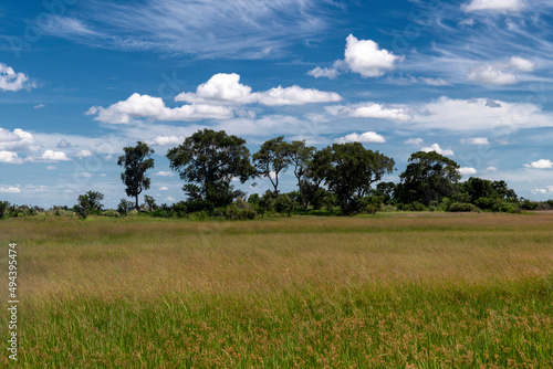 slightly cloudy sky in the savannah landscape of Botswana