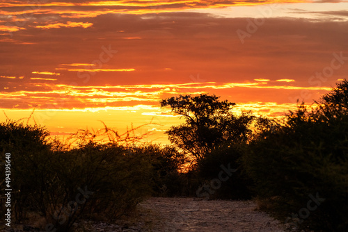 african sunset with view from the camp into the bush, Botswana