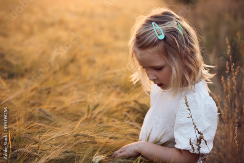 Little toddler girl touching and feeling ripe crop rye ears with her palm, beautiful dreamy sunset scene, closeup portrait