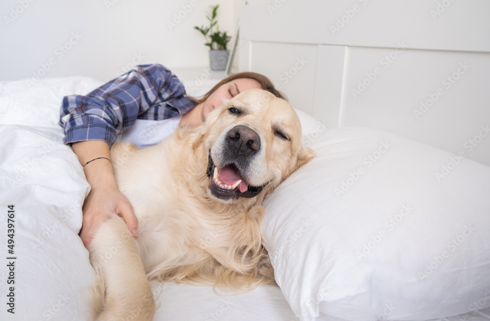 A girl cuddles her dog while lying in bed. A young woman sleeps in her bedroom with a golden retriever. A strong friendship between a pet and its owner.