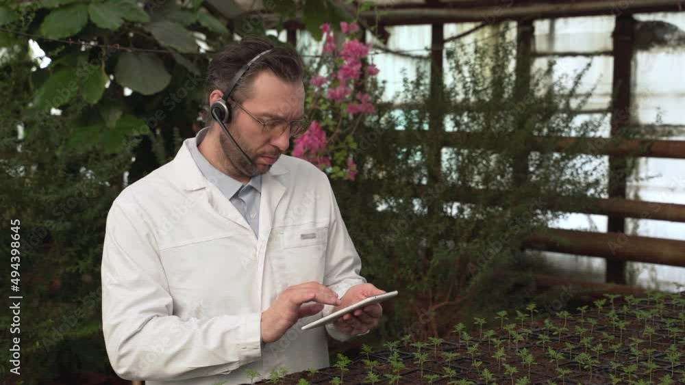 Biologist examines seedlings and counts them, looks at the tablet and checks the information. Gardening, seedlings, sales Biologist examines seedlings and counts them, looks at the tablet and checks the information. Gardening, seedlings, sales