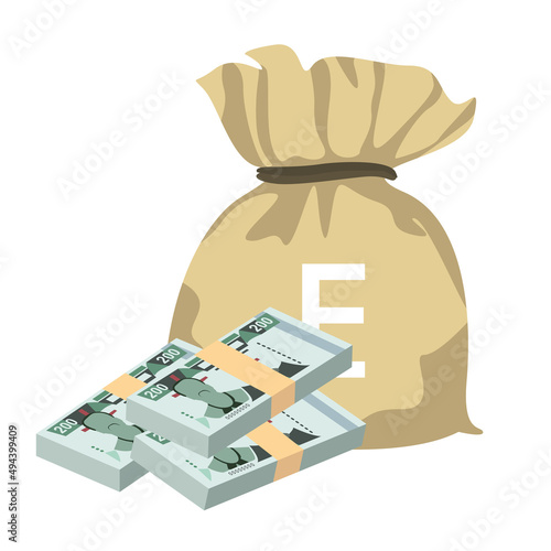 Lilangeni Vector Illustration. Eswatini money set bundle banknotes. Money bag 200 E. Flat style. Isolated on white background. Simple minimal design. photo