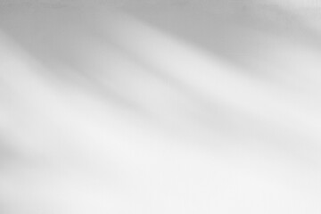 Abstract  light shadow of leaf blurred background. Natural diagonal leaves tree branch shadows and sunlight on white wall. Shadow overlay effect foliage mockup