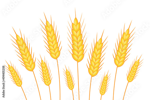 Obraz na płótnie Wheat banner. Happy Shavuot. Template for your design. Vector illustration w salonie