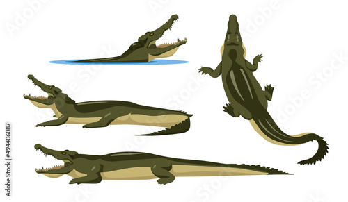 Set of crocodiles in different angles and emotions in a cartoon style. Vector illustration of predators African animals isolated on white background.