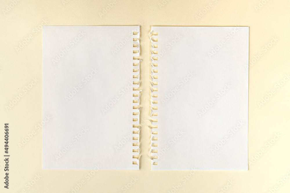 paper with side perforation paper with side perforation