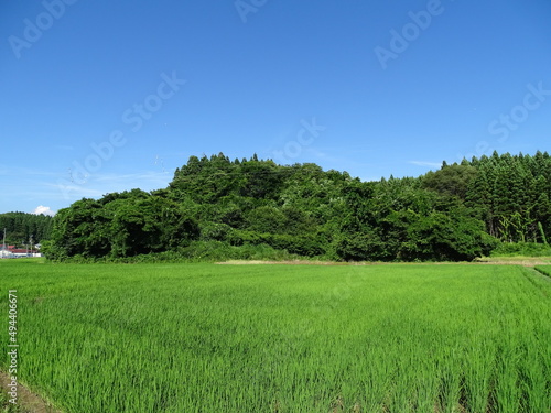 夏の農村風景 © 晋 宮本
