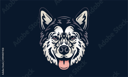 Alaksan Malamute on dark background - Pet portrait