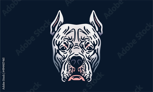 Argentine Dogo on dark background