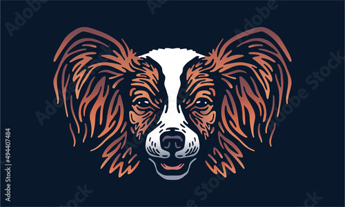 Papillon on dark background - Pet portrait