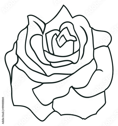 Rose Vektor Blüte mit abstrakter Kontur in Schwarz. Weißer isolierter Hintergrund.