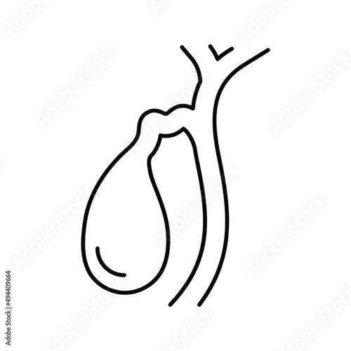 gallbladder. Line icon for web design